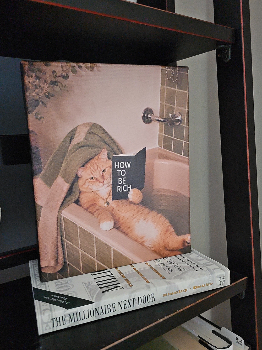 Whimsical Orange Cat Bathtub Canvas Wall Art 8x10